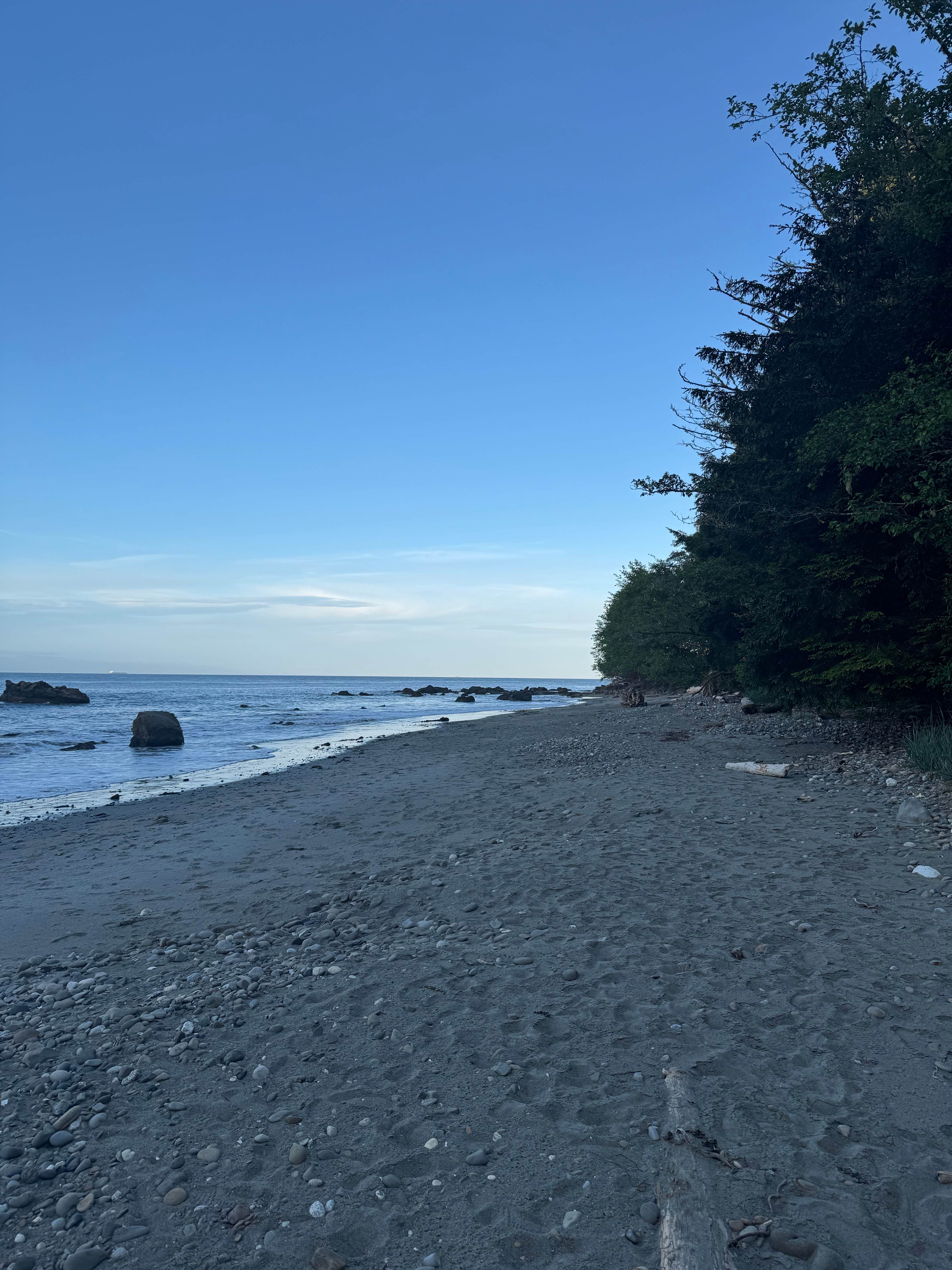 Camper-submitted photo at Jansen Creek Beach Dispersed Campsite near Neah Bay, WA
