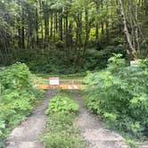 Review photo of Jansen Creek Beach Dispersed Campsite by Darron S., July 23, 2026