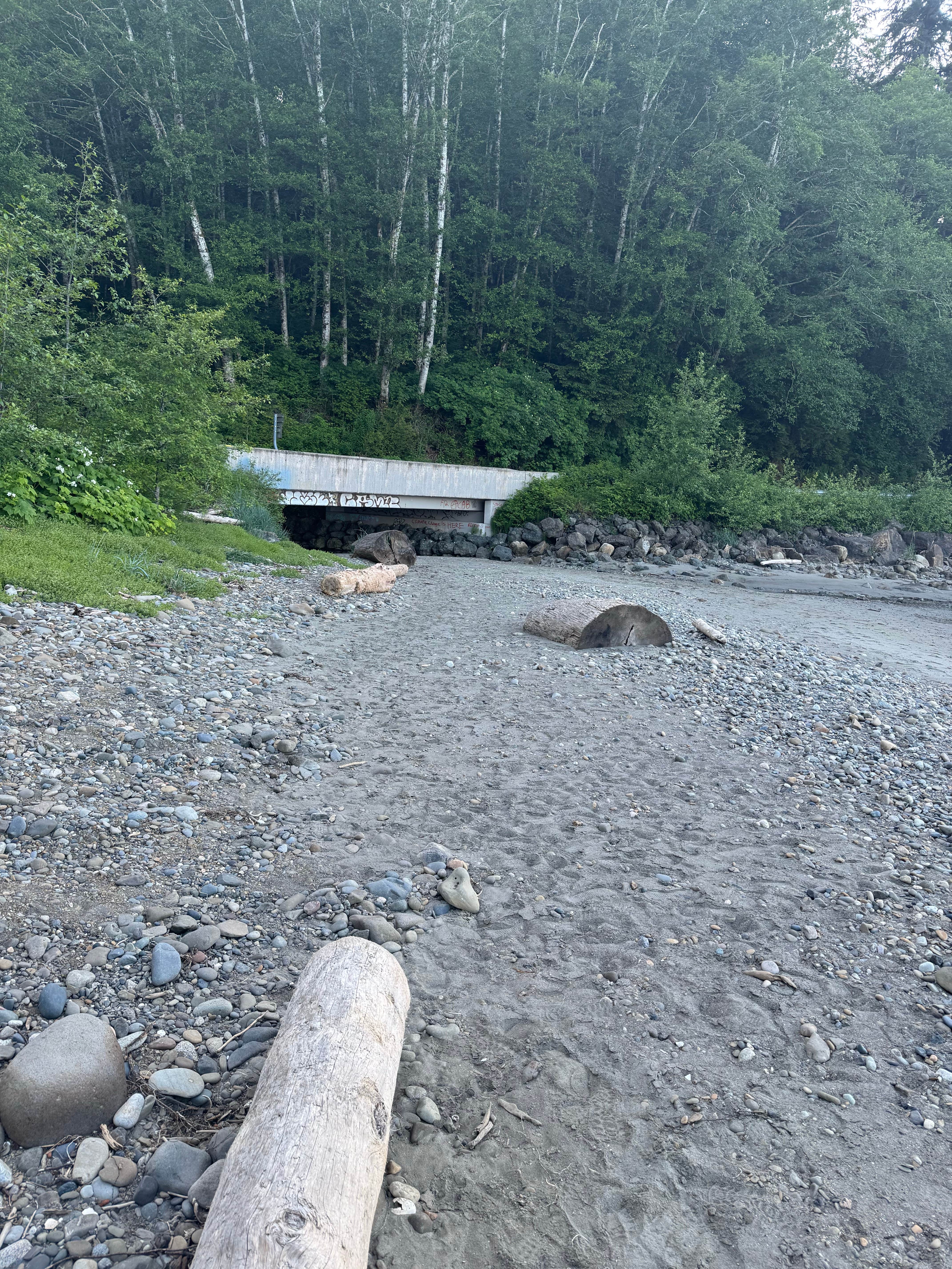 Jansen Creek Beach Dispersed Campsite