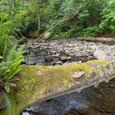 Review photo of Jansen Creek Beach Dispersed Campsite by samuel M., May 25, 2026