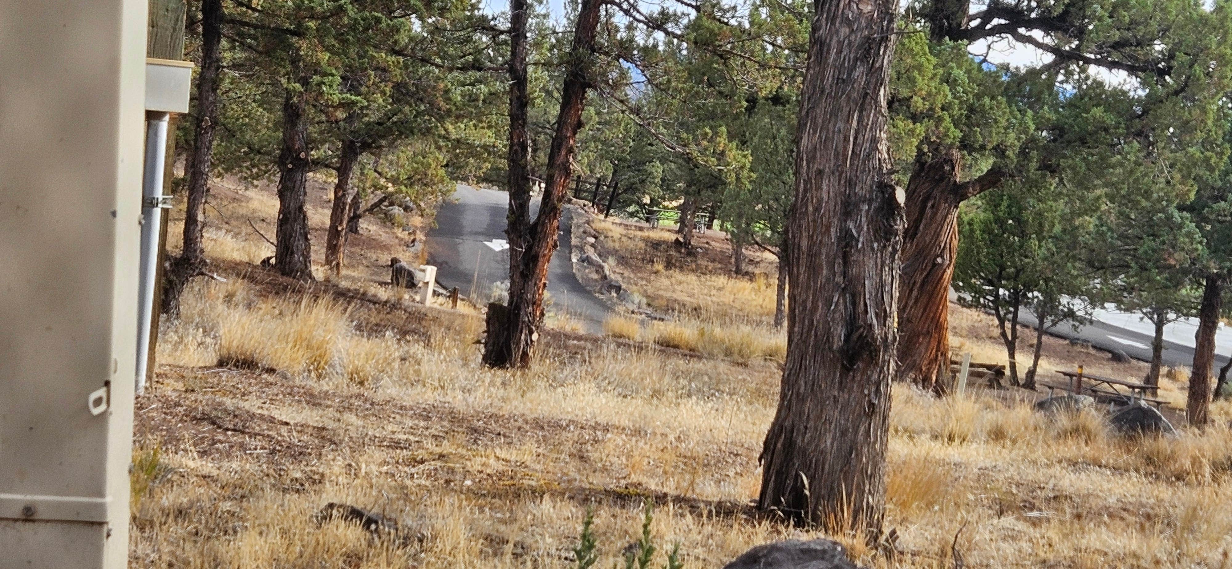 Camping near Ochoco Lake County Park: Jasper Point Campground — Prineville Reservoir State Park, Prineville, Oregon