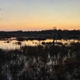 Review photo of Jay B. Starkey Wilderness Park by Rodd S., September 18, 2025