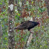 Review photo of Jay B. Starkey Wilderness Park by Rodd S., September 18, 2025