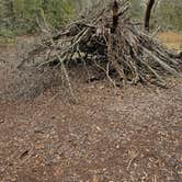 Review photo of Jay B. Starkey Wilderness Park by Rodd S., September 18, 2025