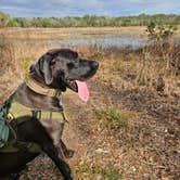 Review photo of Jay B. Starkey Wilderness Park by Rodd S., September 18, 2025