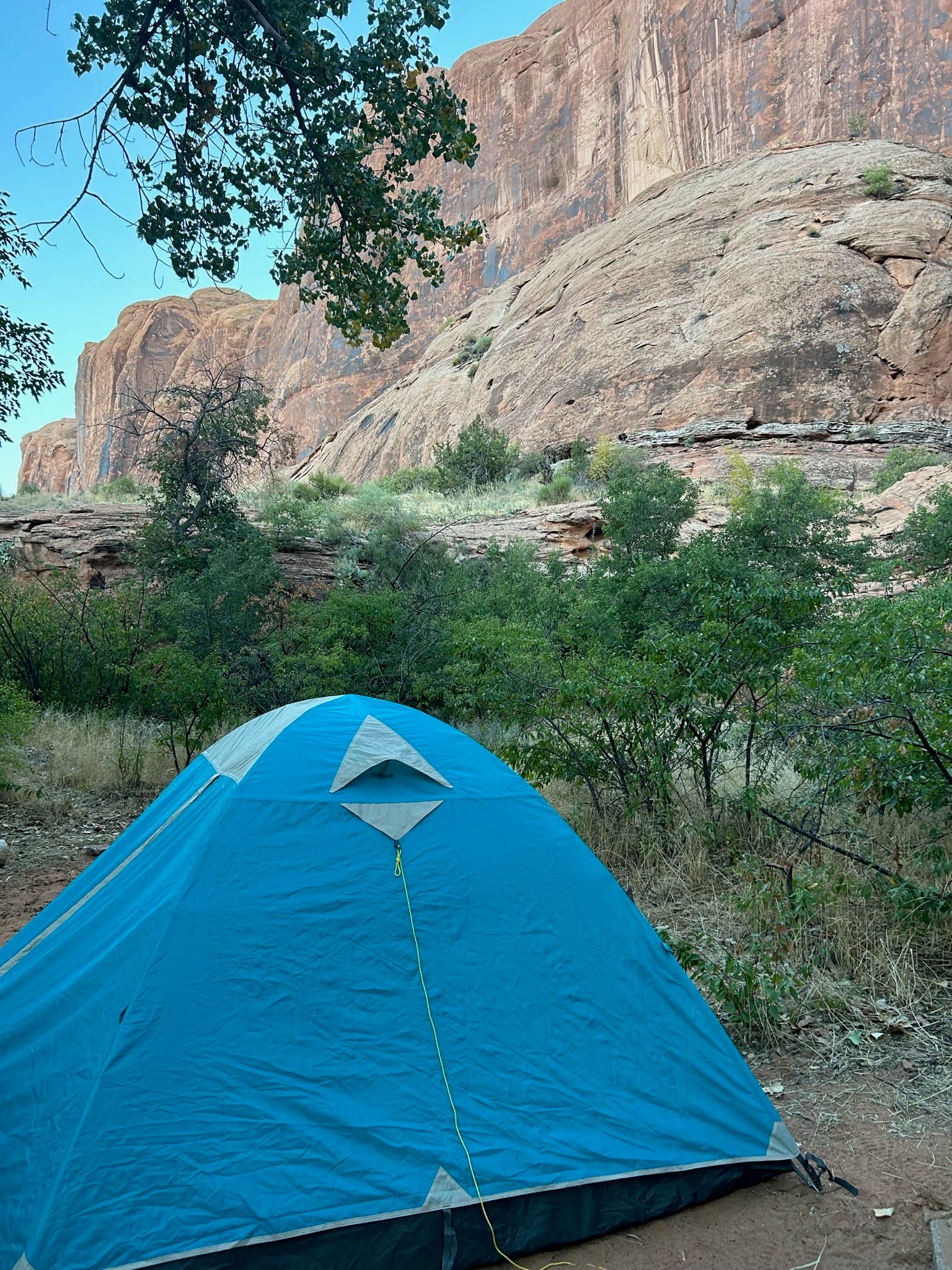 Camping near Williams Bottom Campground: Jaycee Park Campground, Moab, Utah