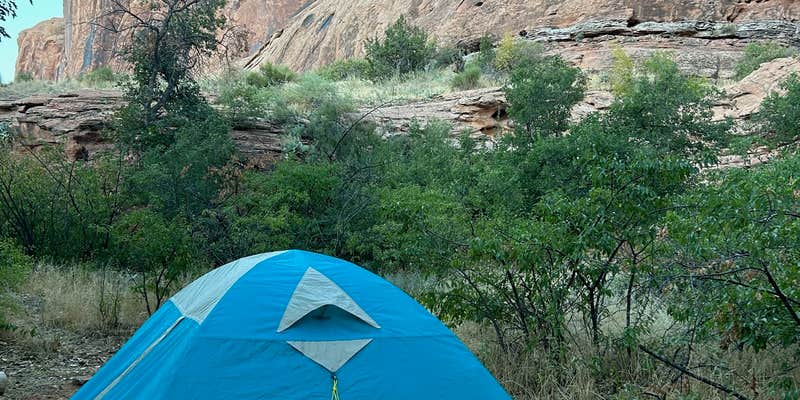 Camper submitted image from Jaycee Park Campground