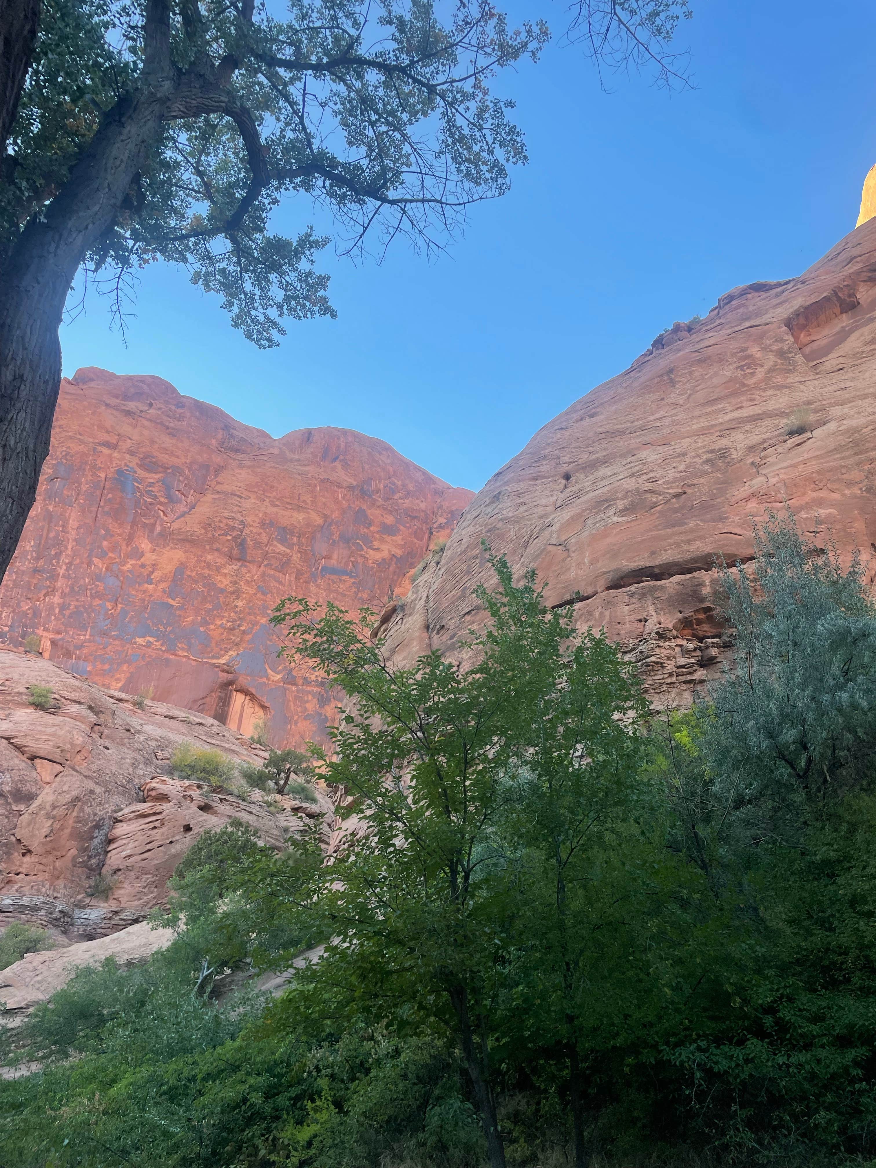 Camper-submitted photo at Jaycee Park Campground near Castle Valley, UT