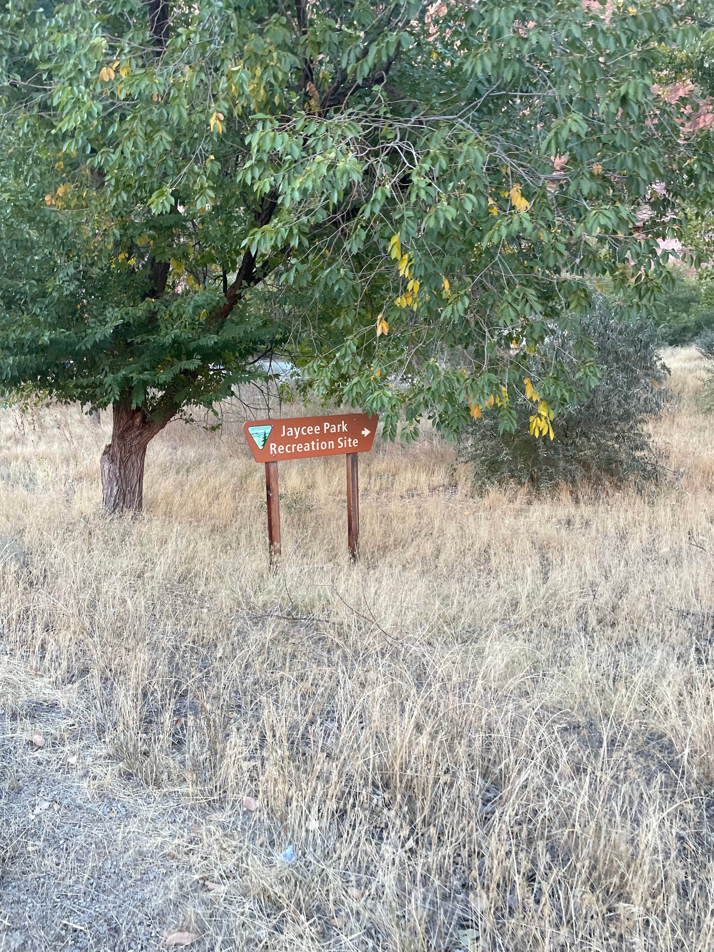 Camper-submitted photo at Jaycee Park Campground near Castle Valley, UT