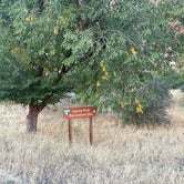 Review photo of Jaycee Park Campground by claire E., October 15, 2023