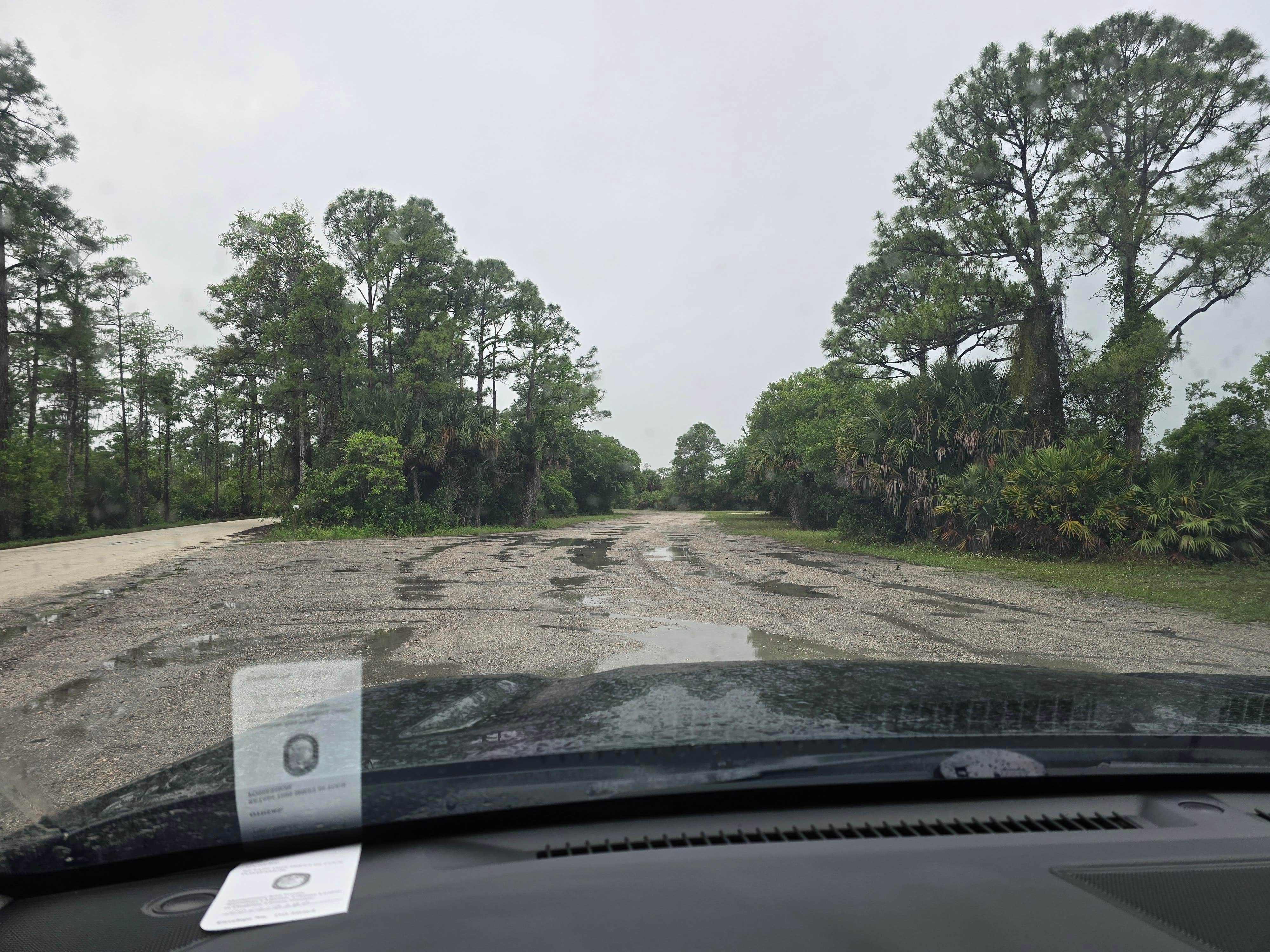 Camper-submitted photo at JB CORBETT WMA near Coral Springs, FL