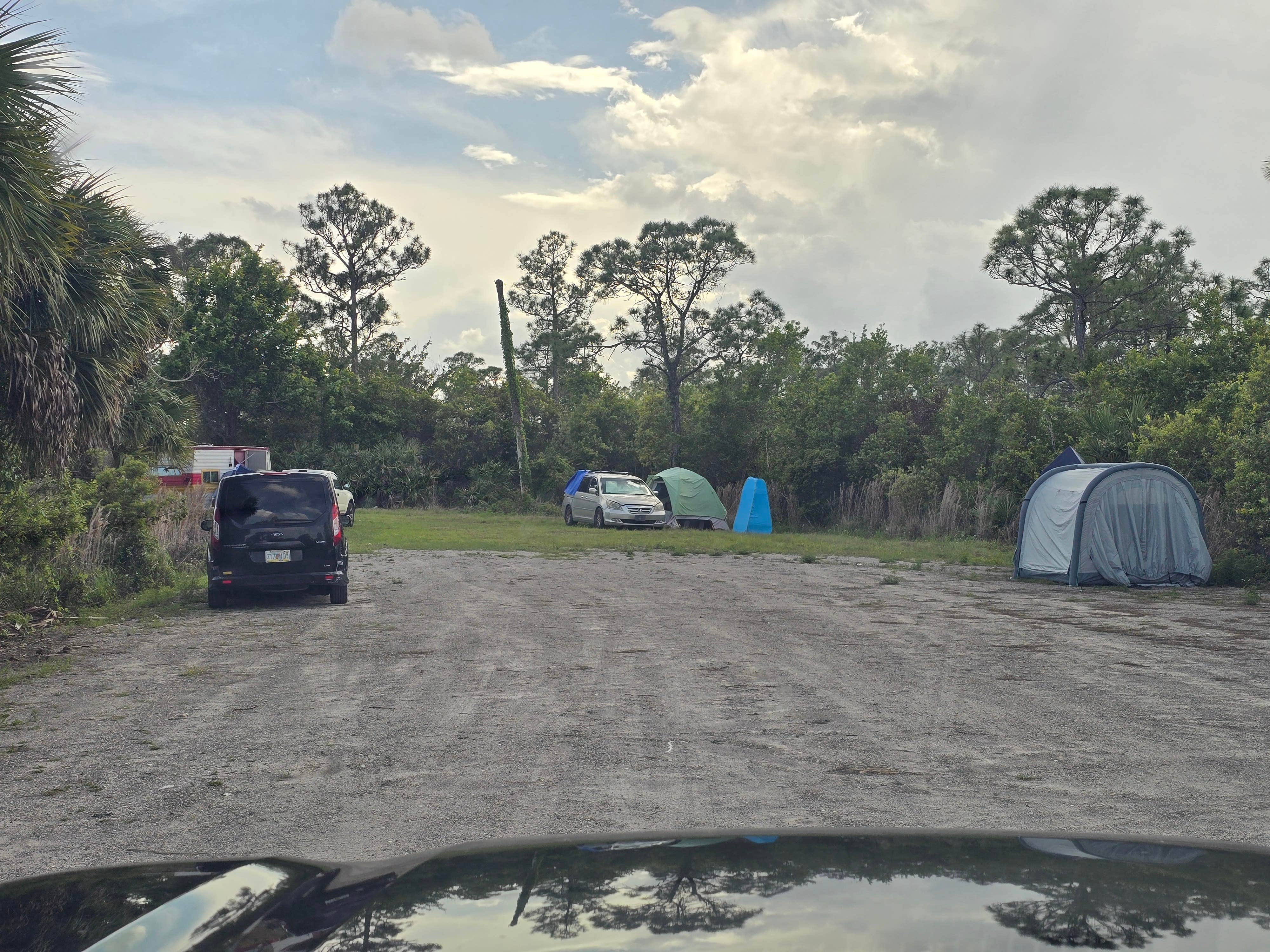 Nicholas's photo at JB CORBETT WMA near Boynton Beach, FL