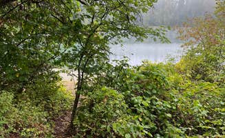 andrew's photo of camping with pets at Lewis North Travel Camp - Joint Base Lewis McChord near Olympia, WA