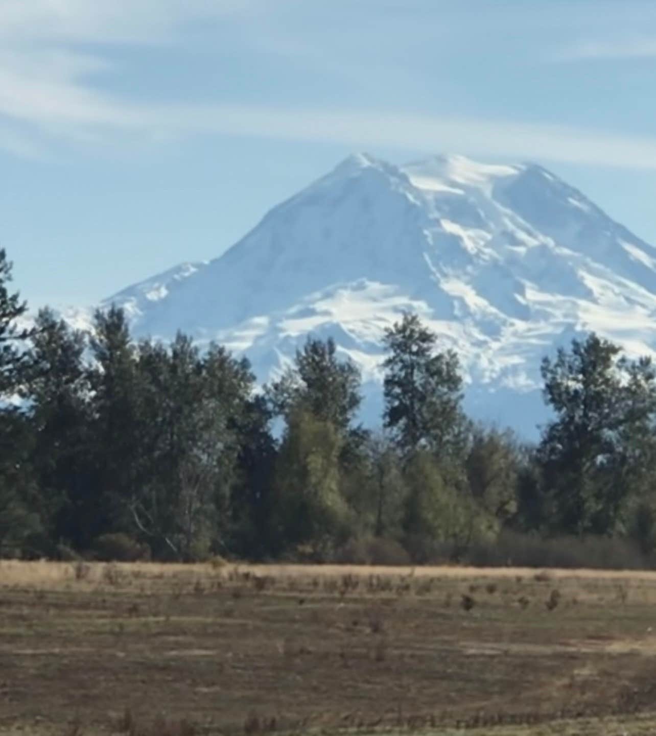 Camper-submitted photo at Lewis North Travel Camp - Joint Base Lewis McChord near Orting, WA