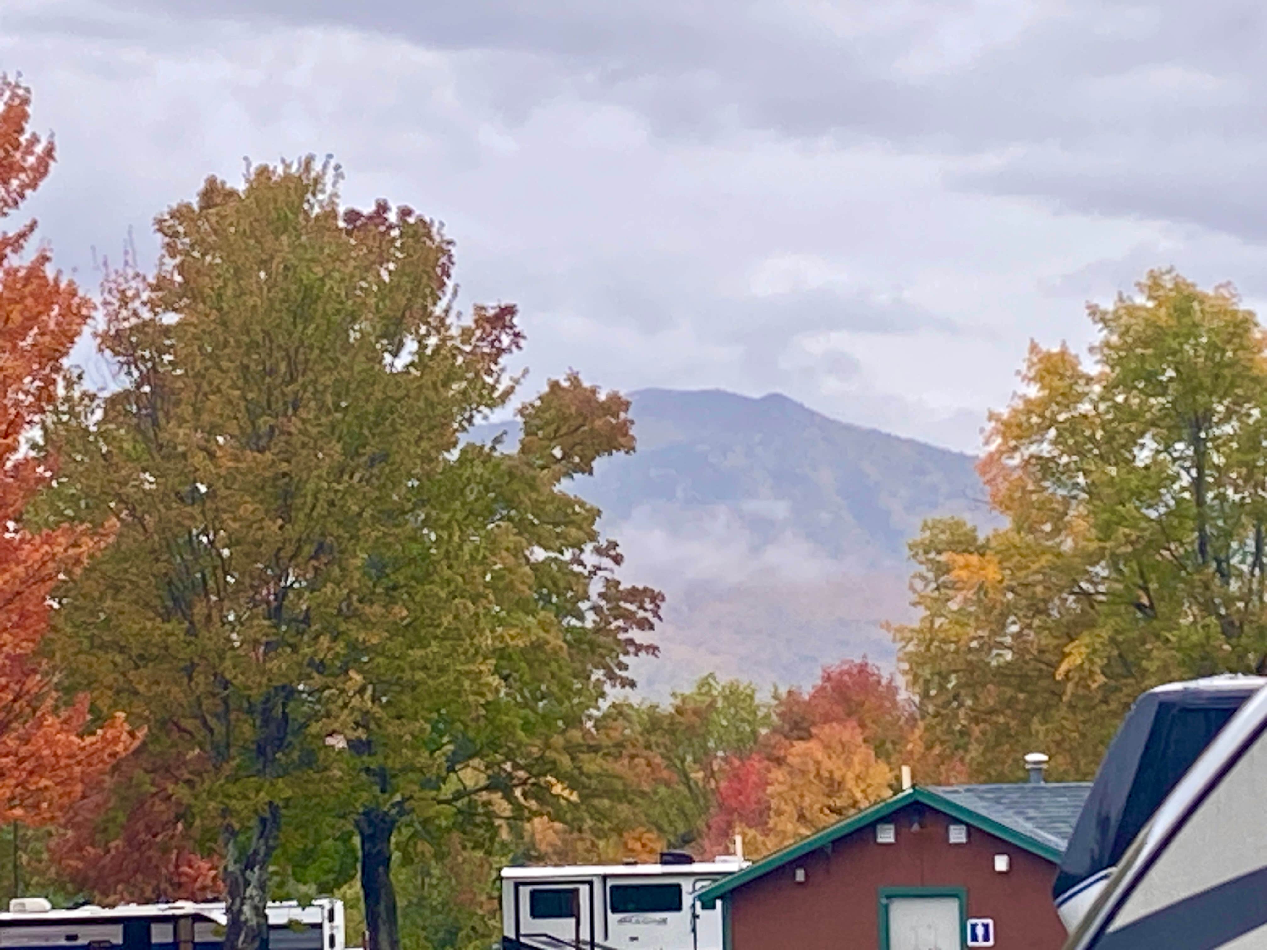 Camper submitted image from Jefferson Campground - 5