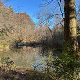 Review photo of Jellico Creek Rd Dispersed Site 3 by Heidi H., November 7, 2025