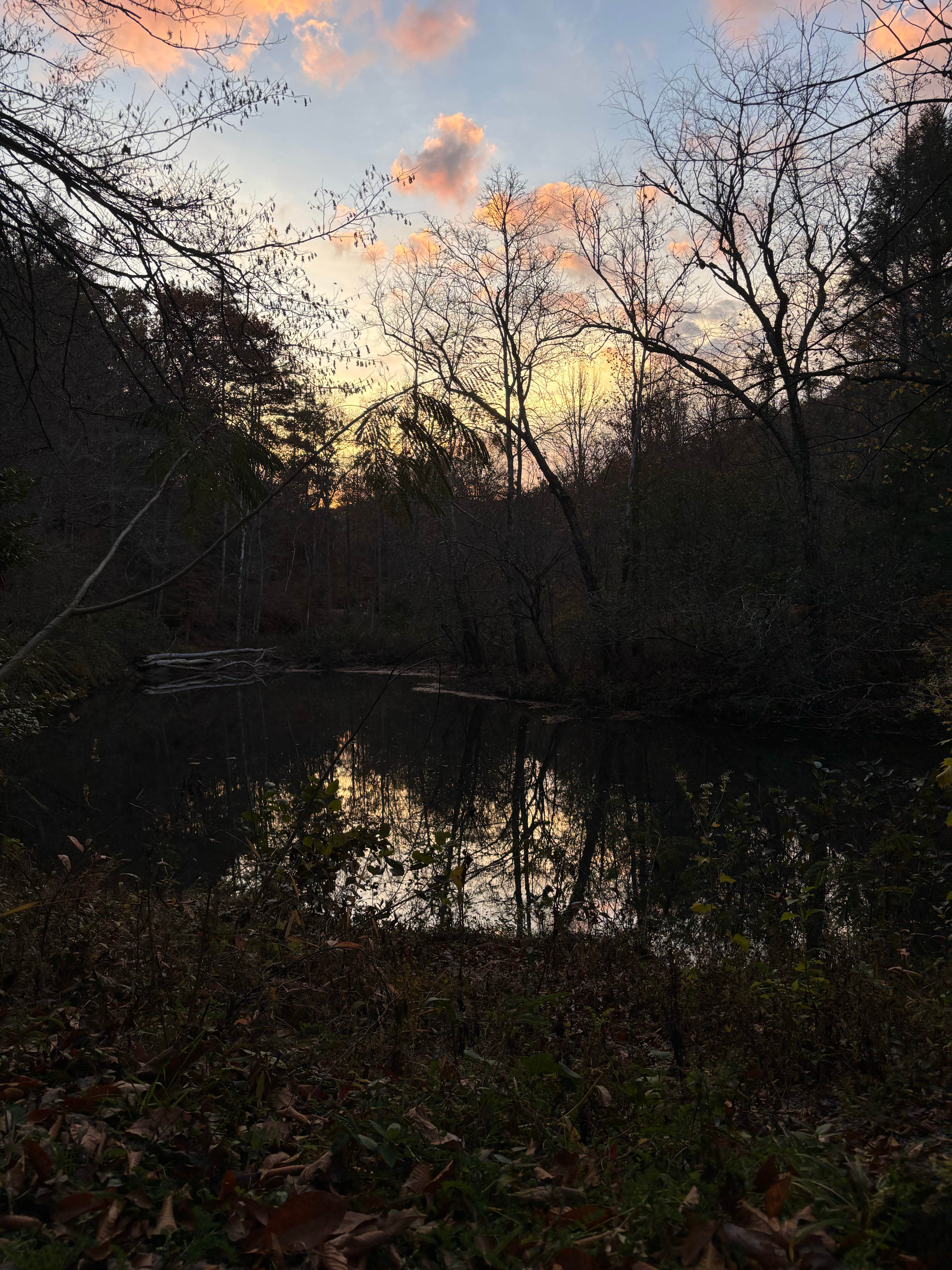 Camper-submitted photo at Jellico Creek Rd Dispersed Site 3 near Byrdstown, TN