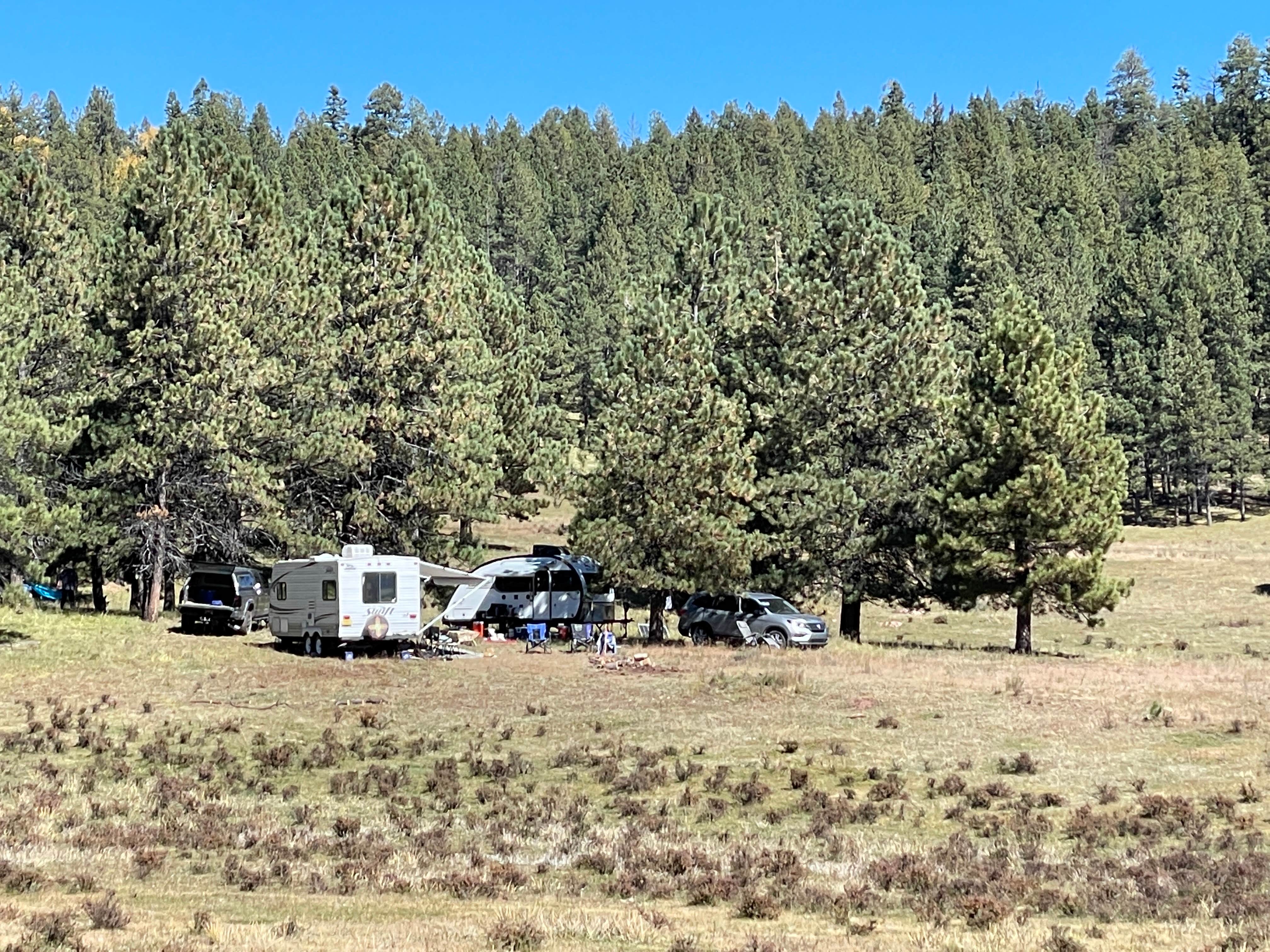 Camper submitted image from Jemez Dispersed - 5