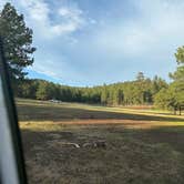 Review photo of Jemez Dispersed by Maxfield J., June 16, 2026