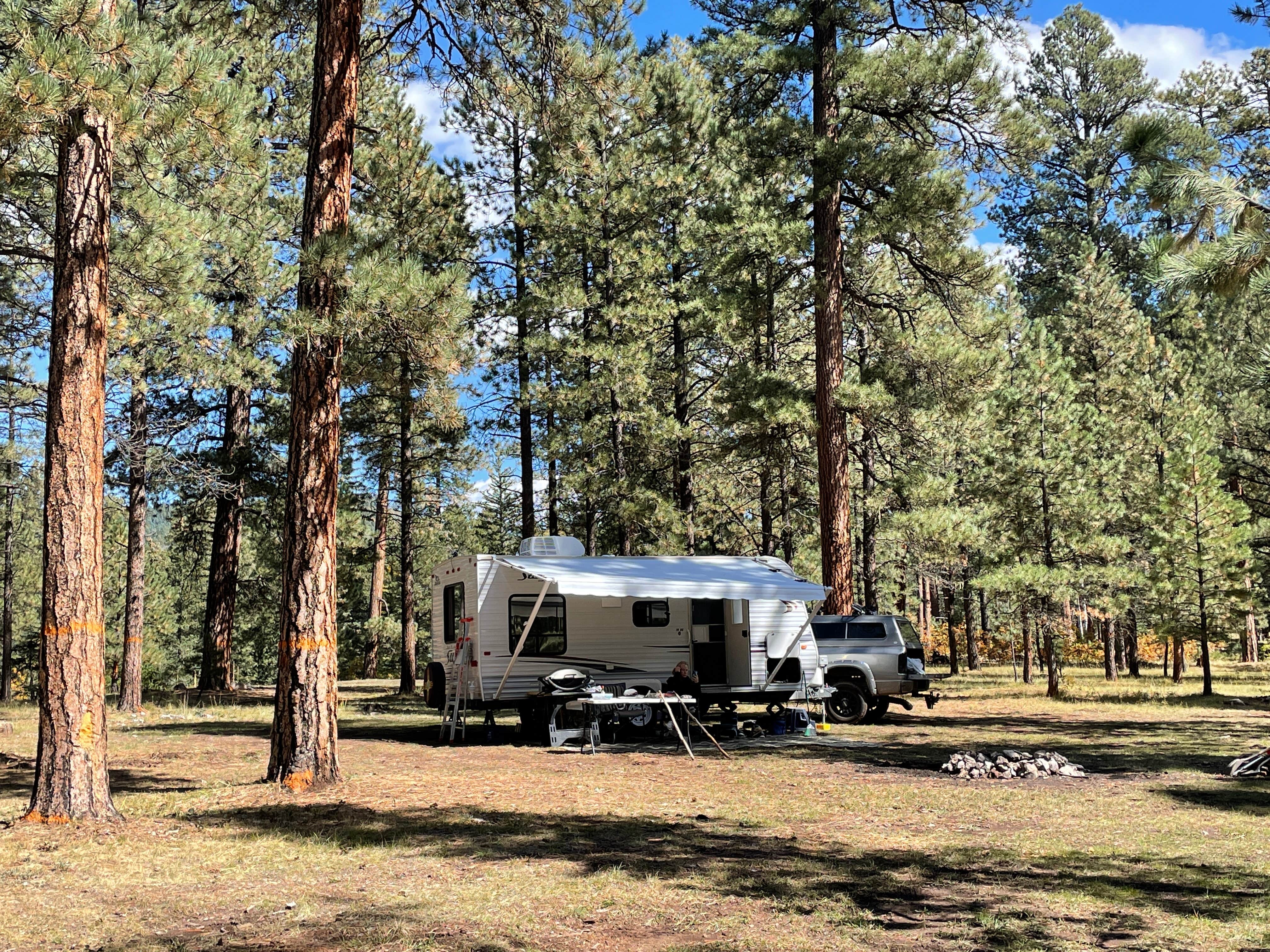 Camper submitted image from Jemez Dispersed - 4