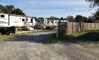 Camping near Cape Point — Cape Lookout National Seashore: Jerniman's Campground, Ocracoke, North Carolina