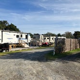 Review photo of Jerniman's Campground by Roger W., November 24, 2023