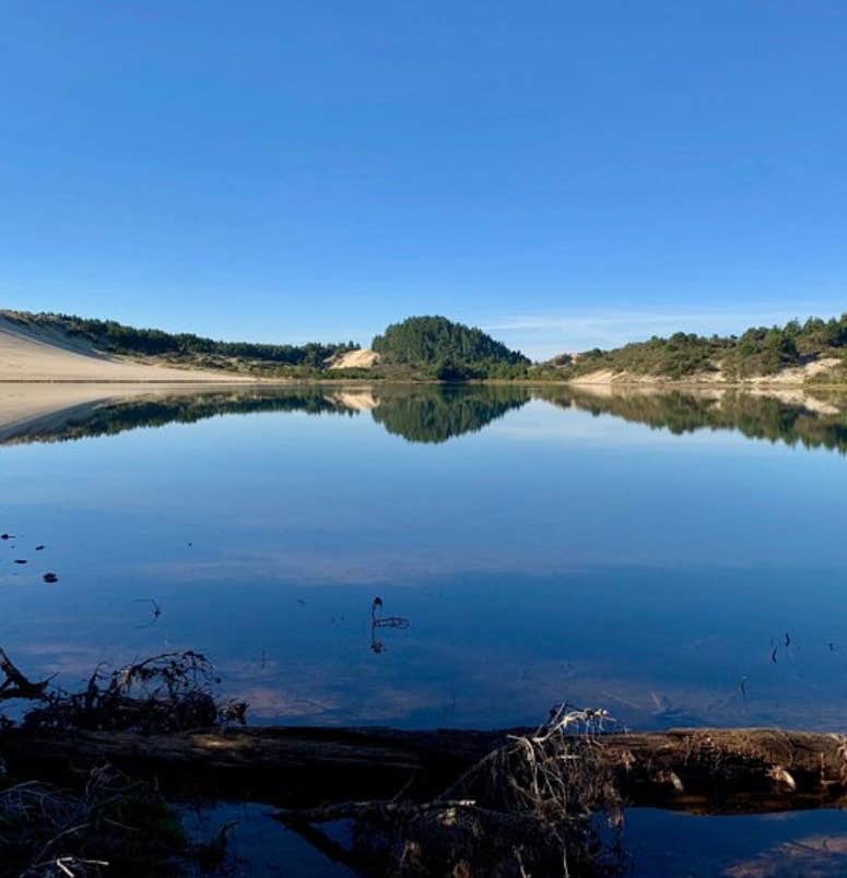 Camper-submitted photo at Jessie M. Honeyman Memorial State Park Campground near Florence, OR