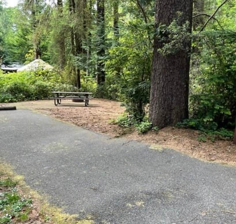 Camper-submitted photo at Jessie M. Honeyman Memorial State Park Campground near Florence, OR