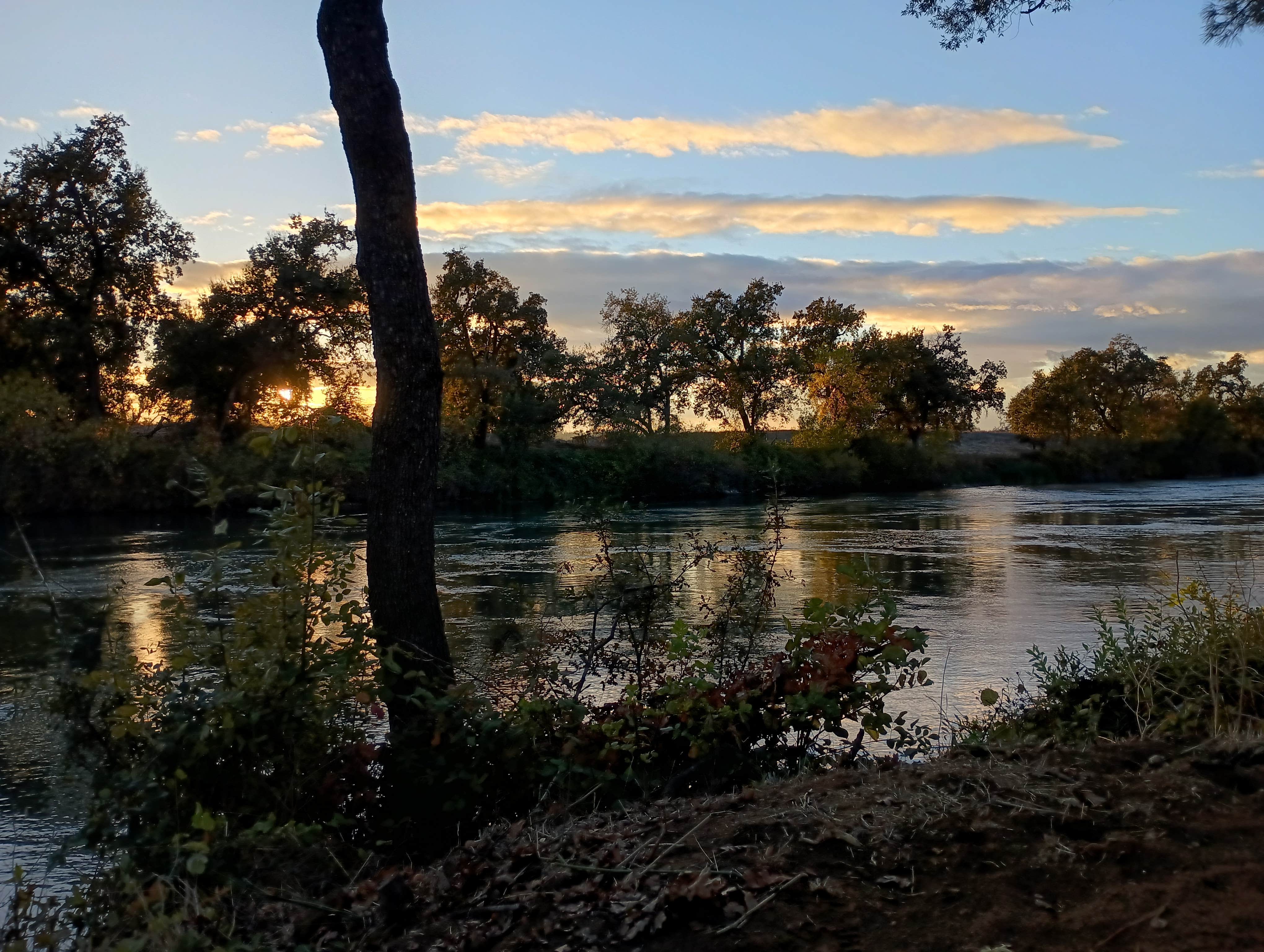 Camper-submitted photo at JGW RV Park near Hayfork, CA