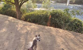 Gypsiesden P.'s photo of camping with pets at Rogue River National Forest Jim Creek Group Campground near Prospect, OR