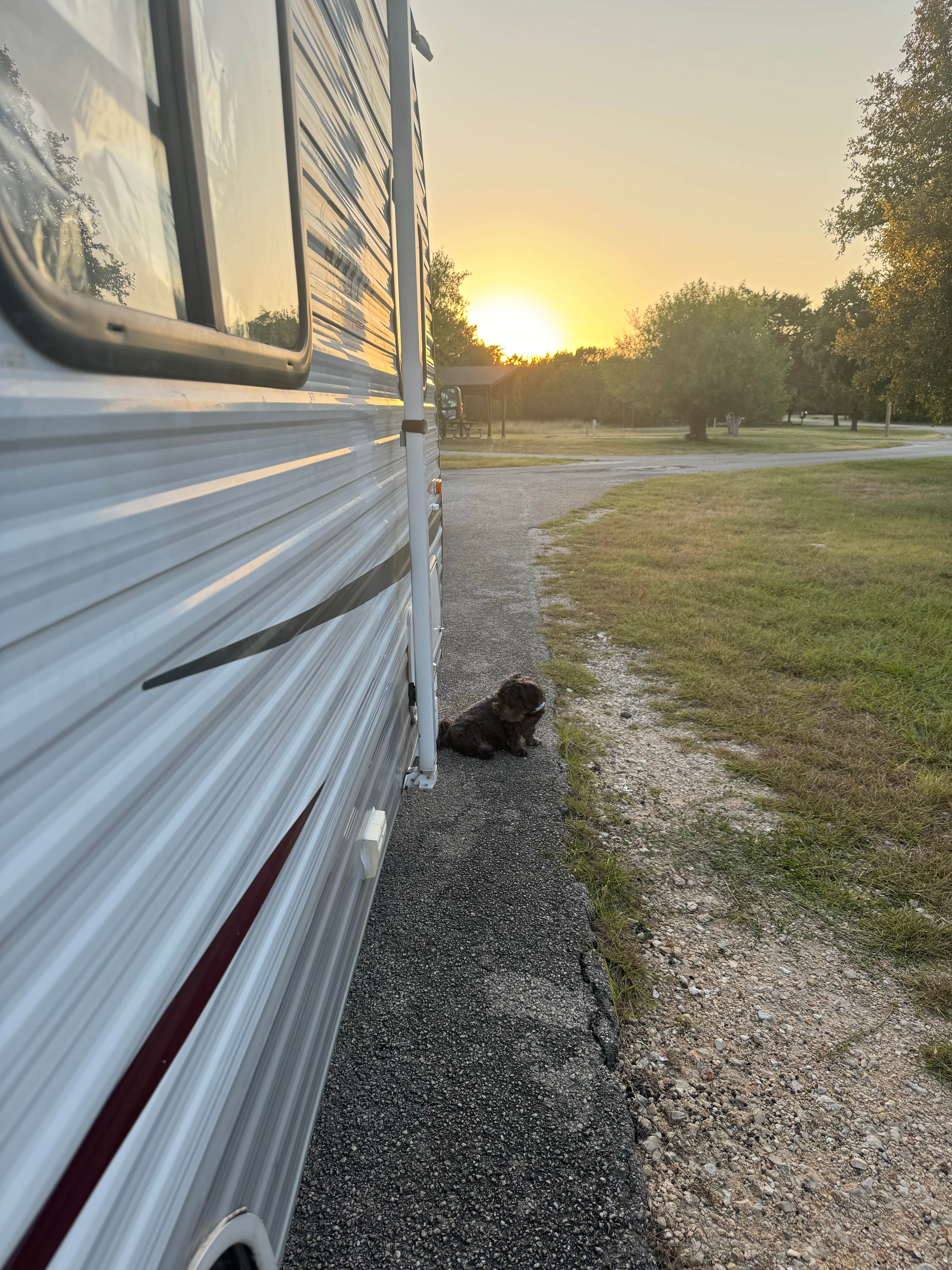 Mackenzie-Anne K.'s photo of camping with pets at Jim Hogg - Lake Georgetown near Round Rock, TX