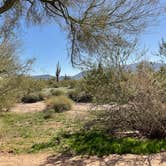 Review photo of West Pinal County Park by June S., December 21, 2025