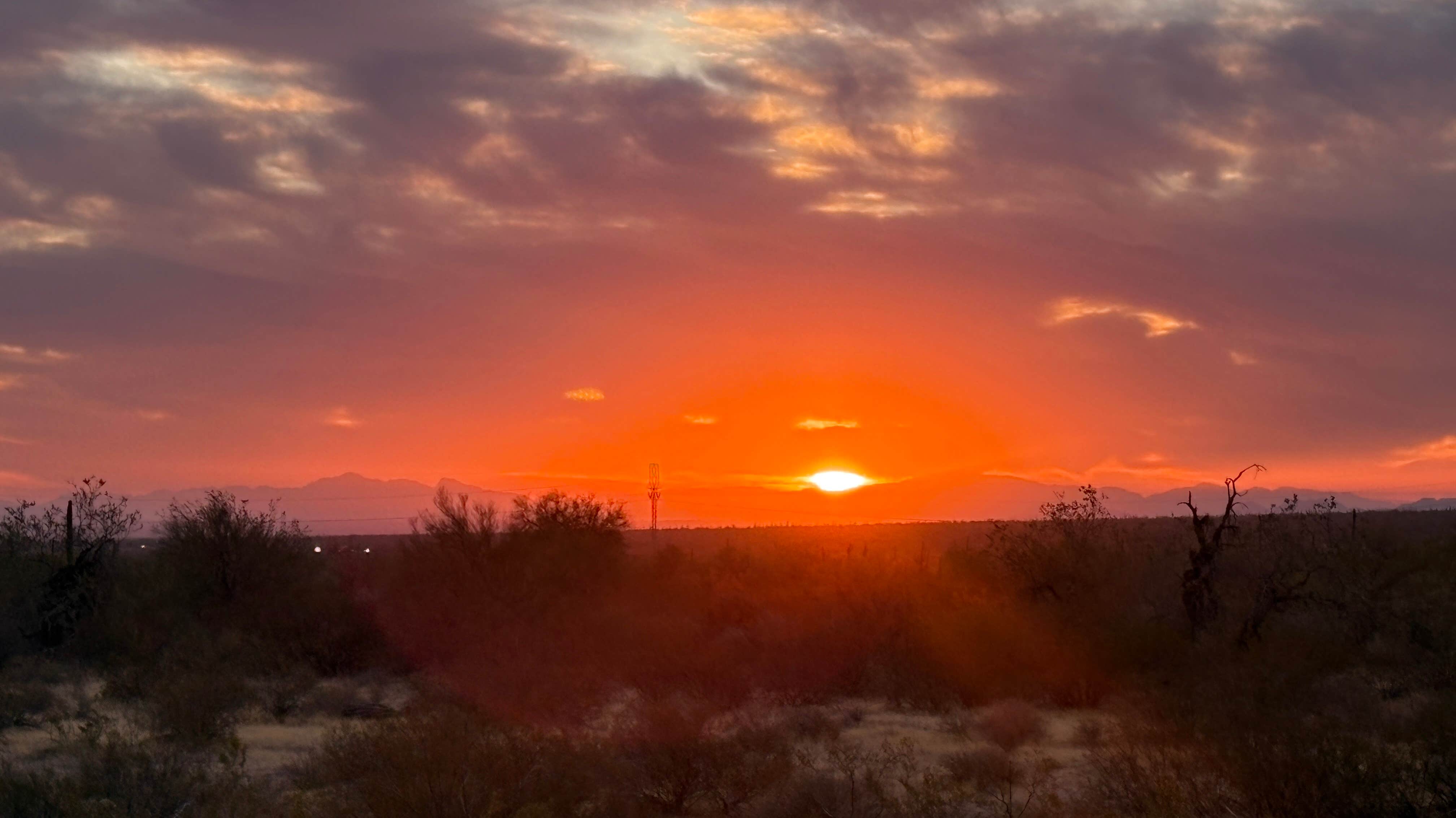 Camper-submitted photo at West Pinal County Park near Gilbert, AZ