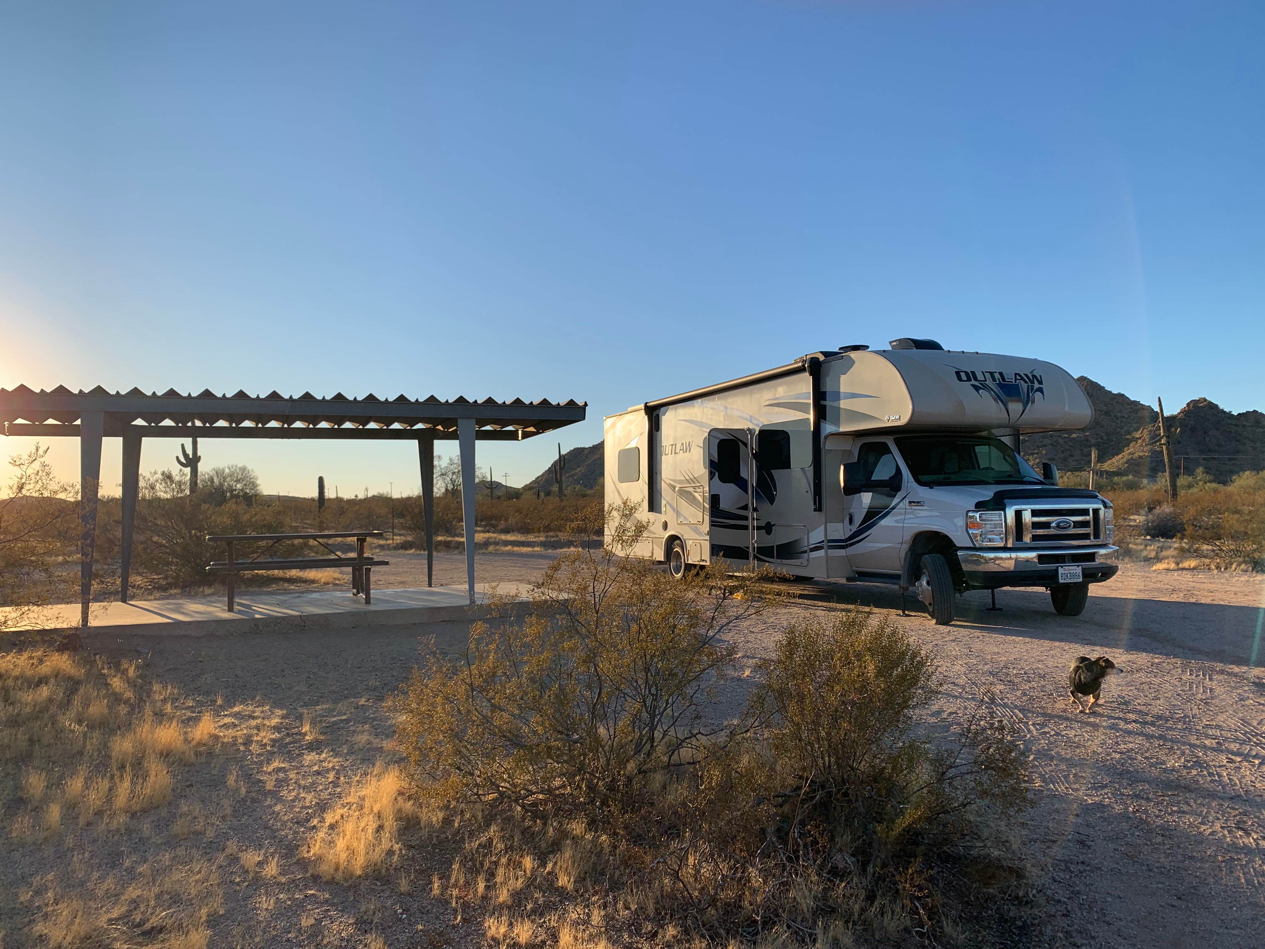 Shawn's photo of camping with pets at West Pinal County Park near Maricopa, AZ