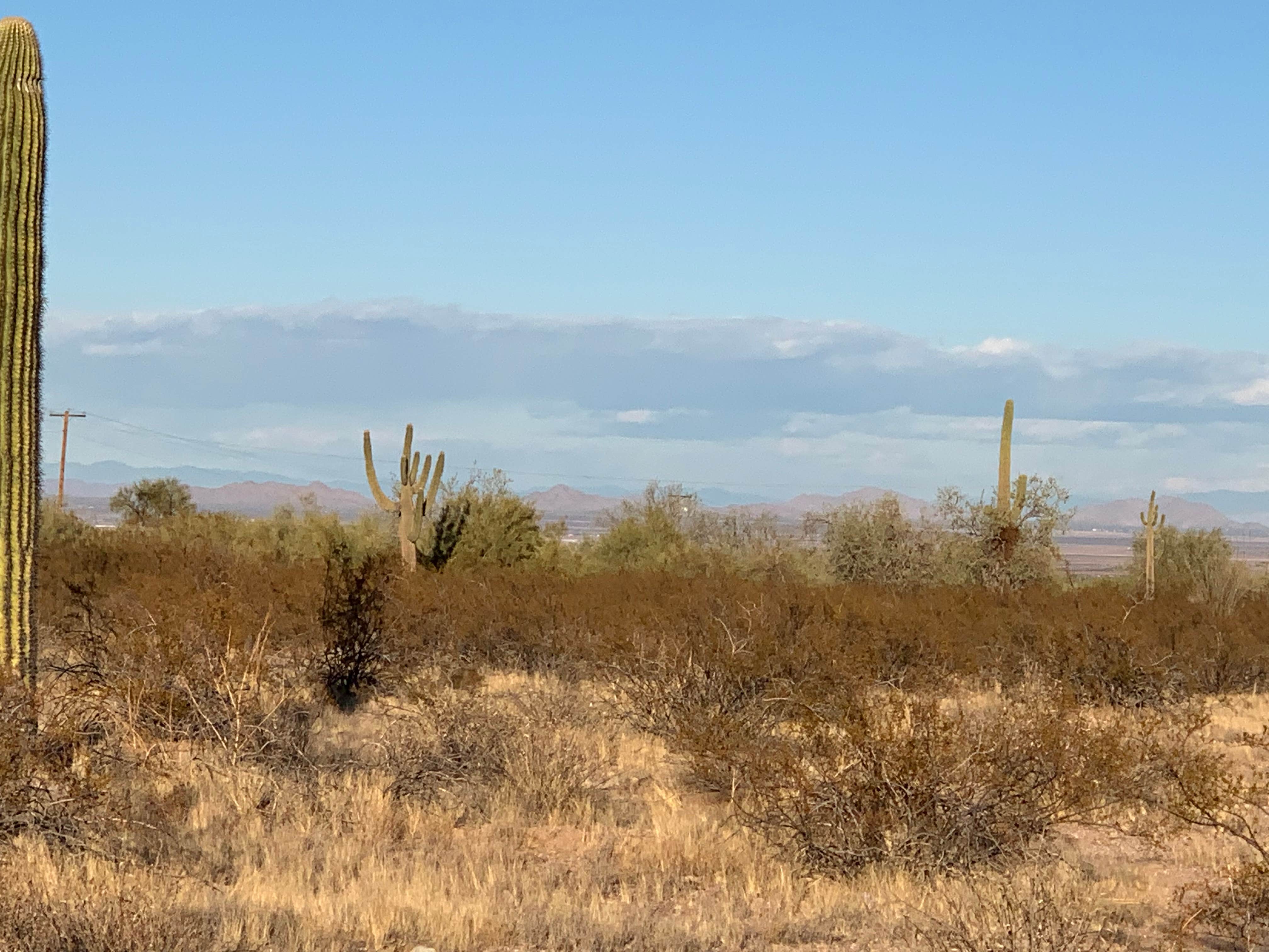 Camper-submitted photo at West Pinal County Park near Gilbert, AZ