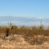 Review photo of West Pinal County Park by Shawn , November 8, 2024