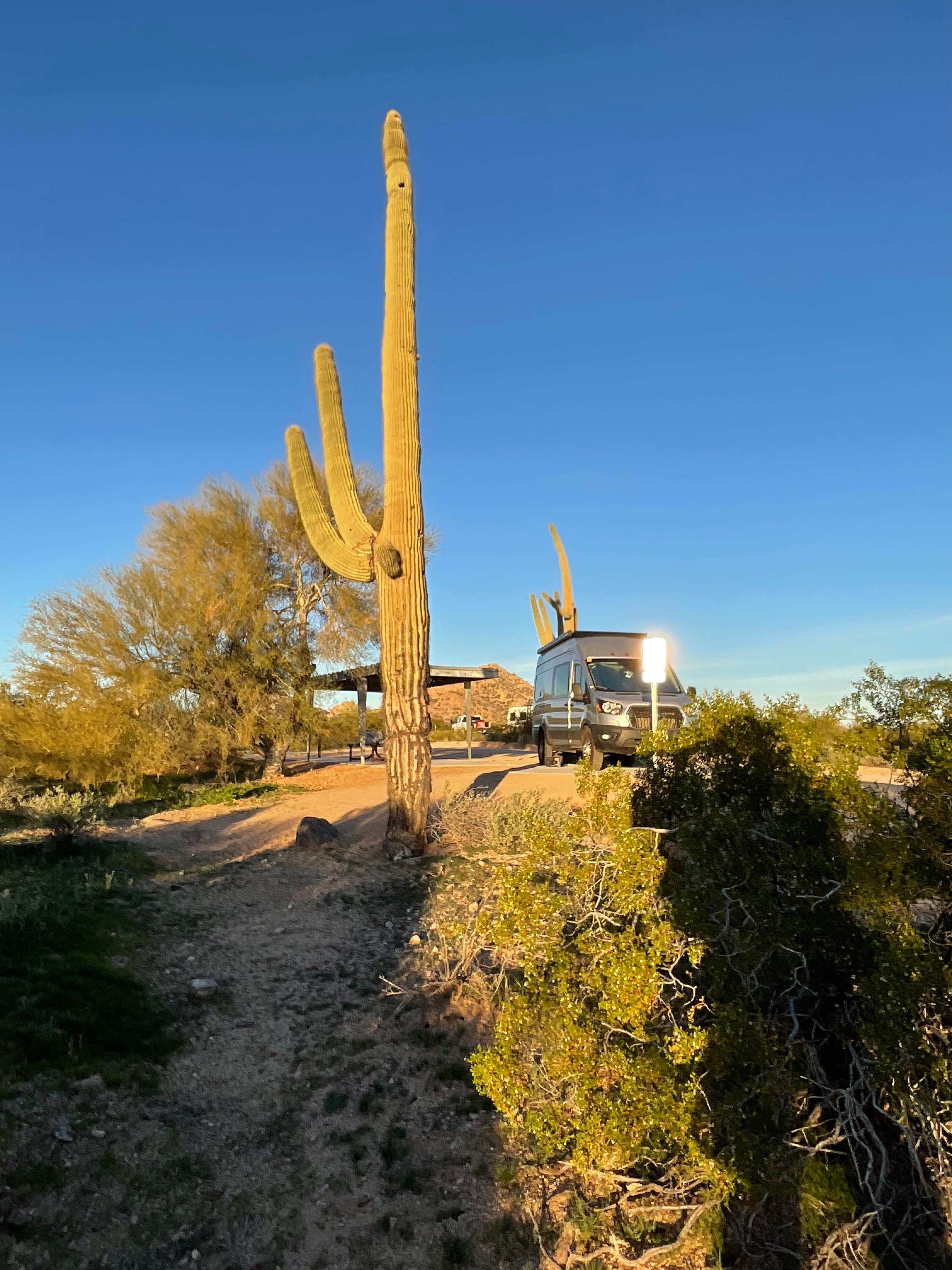 Camper-submitted photo at West Pinal County Park near Stanfield, AZ