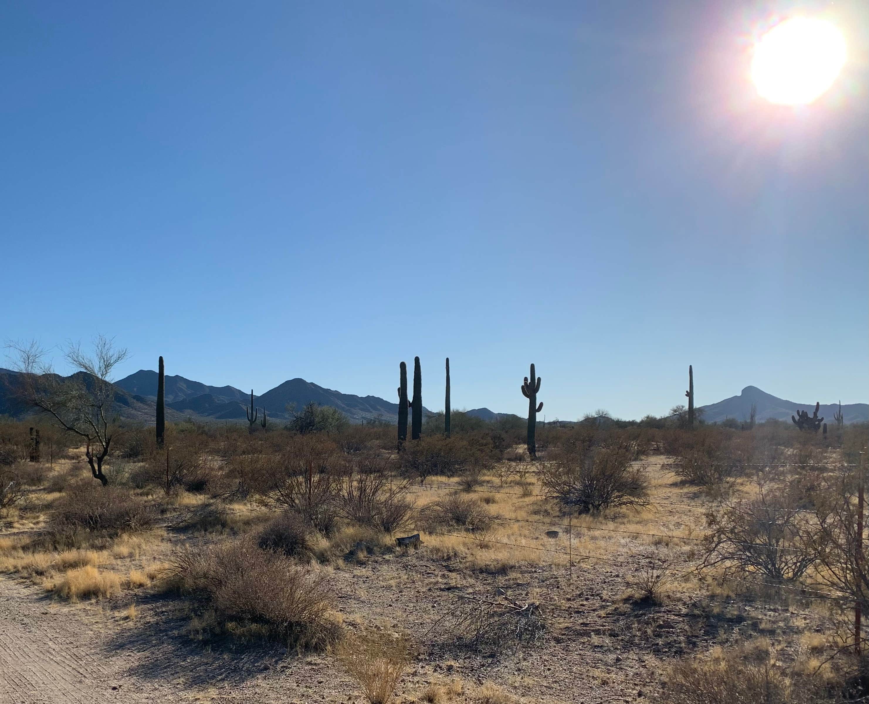 Camper-submitted photo at West Pinal County Park near Gilbert, AZ