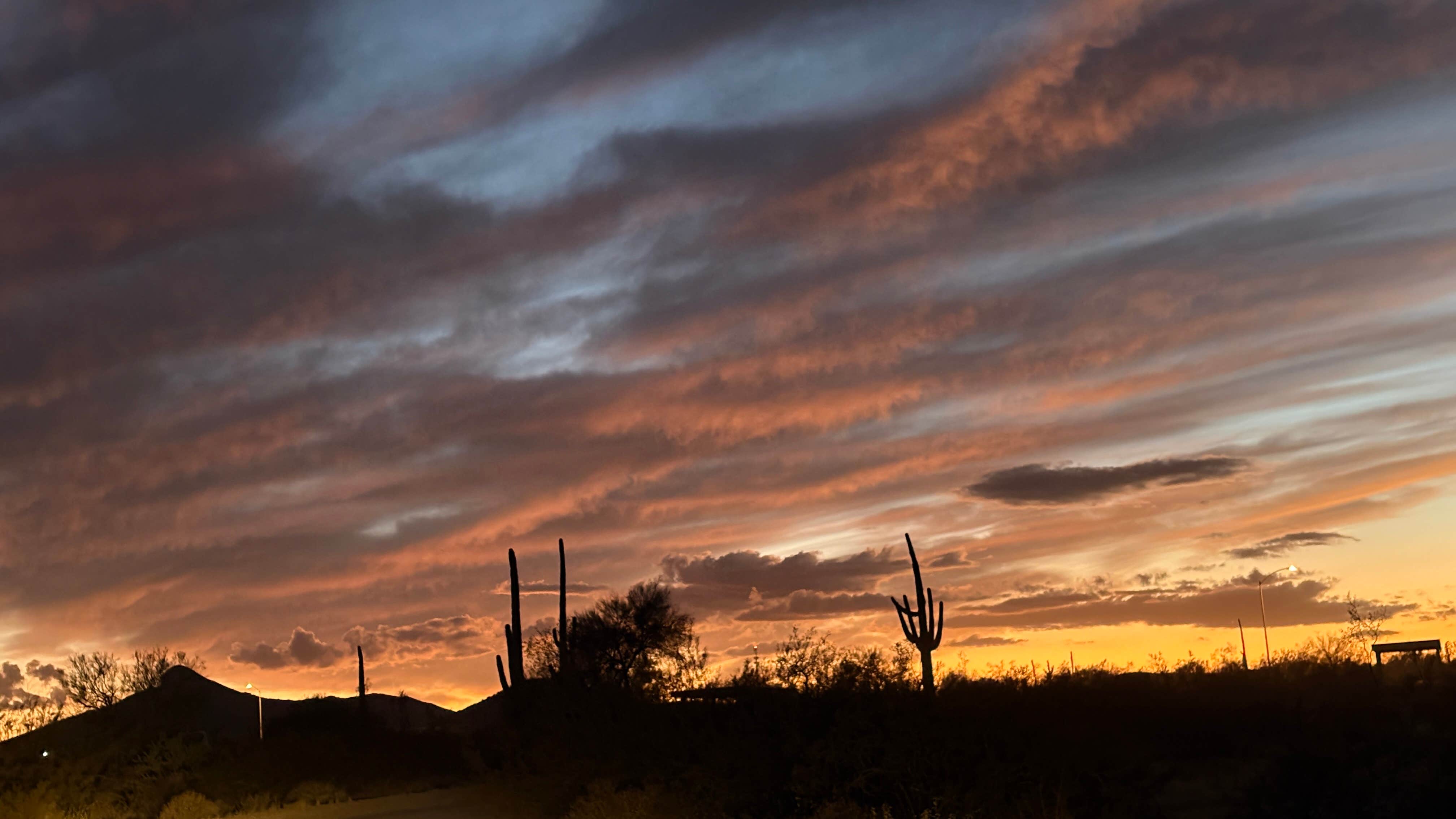 Camper-submitted photo at West Pinal County Park near Gilbert, AZ