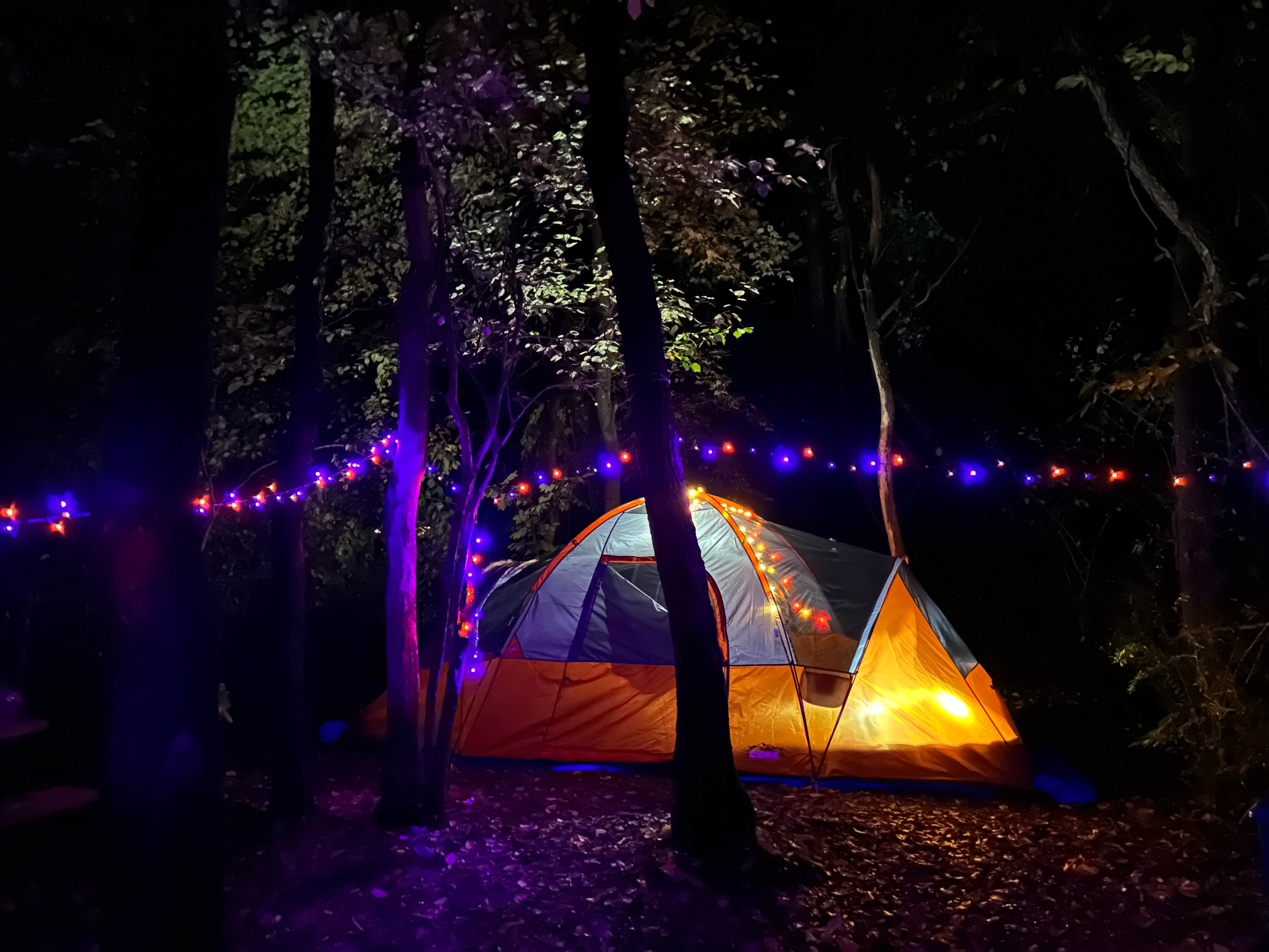 Camper submitted image from Jim Thorpe Camping Resort - 3
