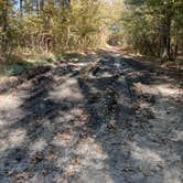 Review photo of COE Lake Greeson Self Creek Jim Wylie Recreation Area and Campground by Twyana S., October 20, 2024