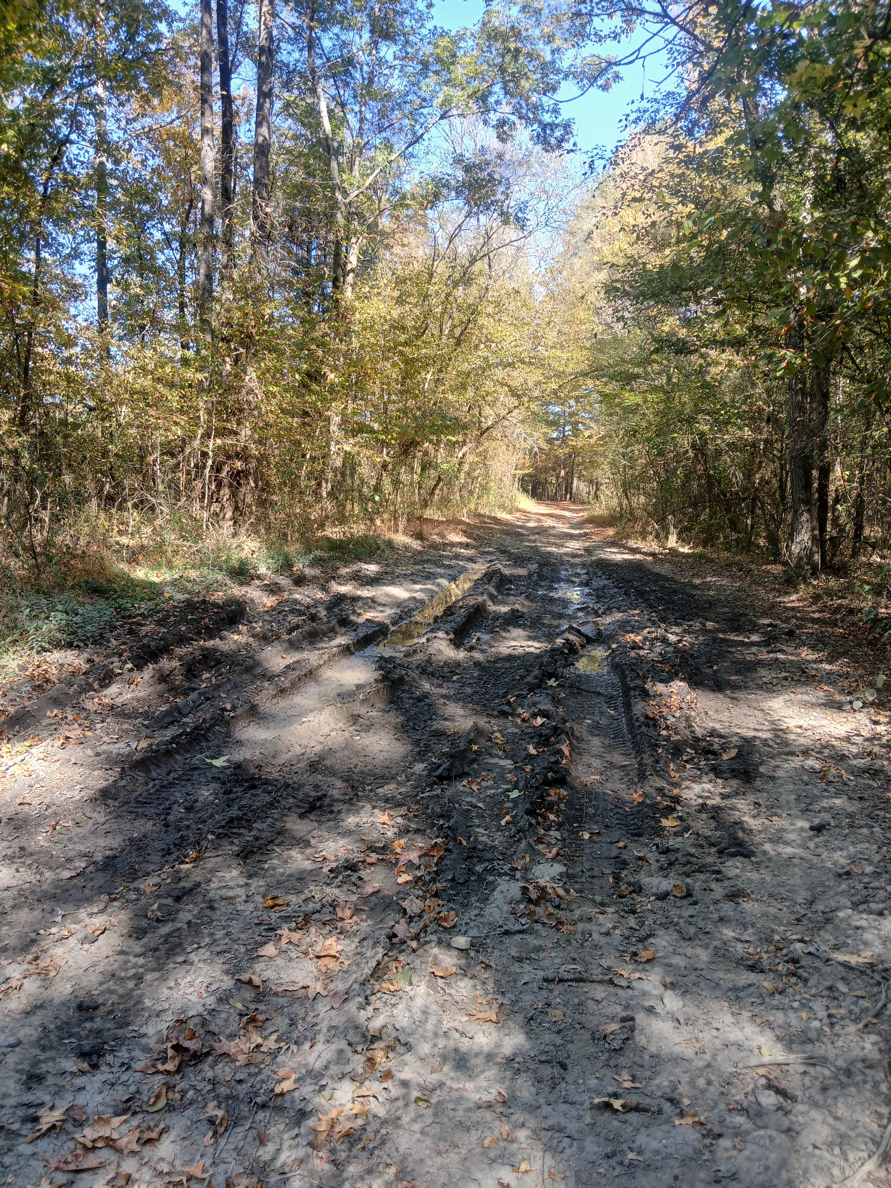 Camper submitted image from COE Lake Greeson Self Creek Jim Wylie Recreation Area and Campground - 4