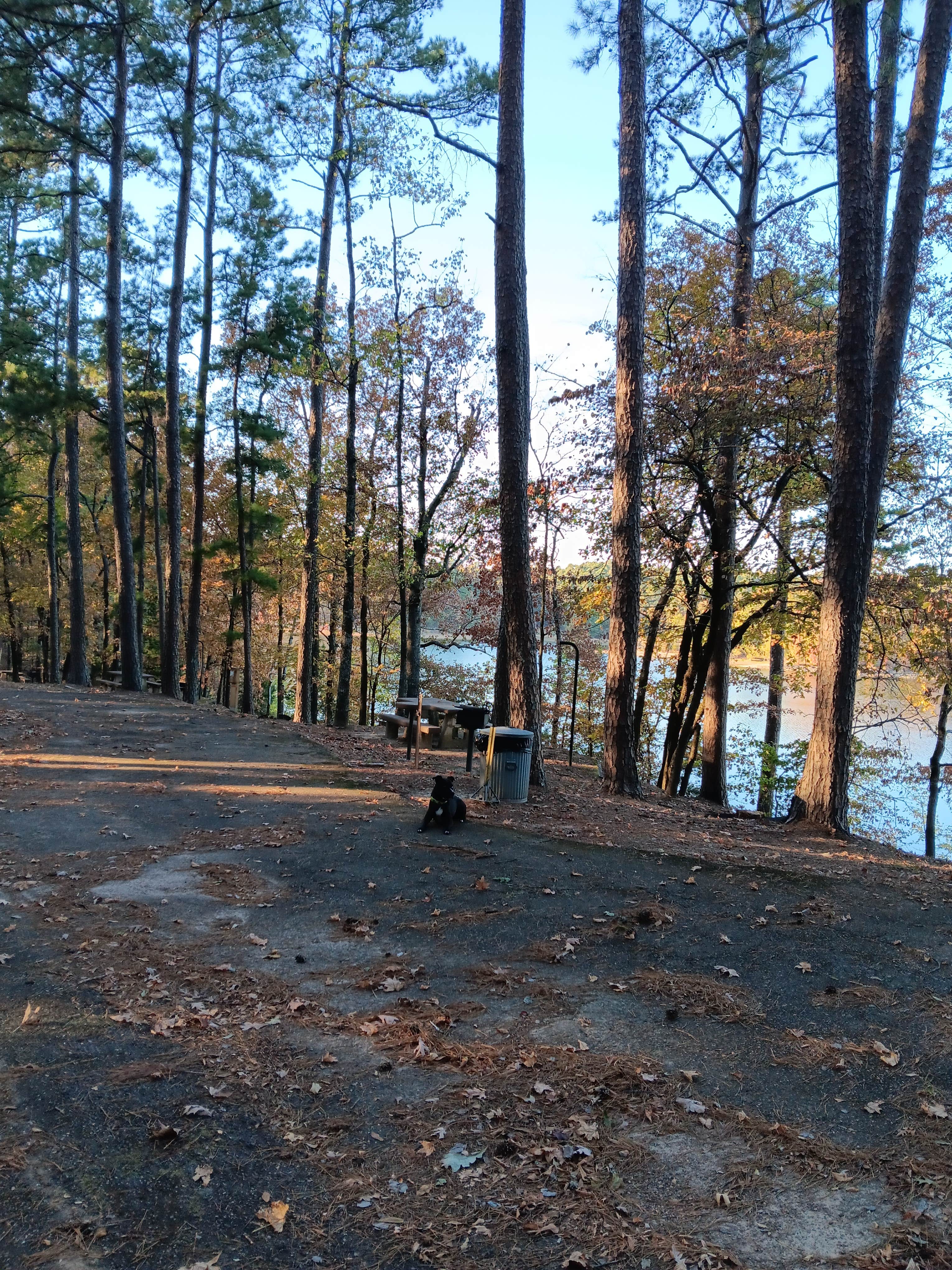 Alice S.'s photo of camping with pets at COE Lake Greeson Self Creek Jim Wylie Recreation Area and Campground near Caddo Gap, AR