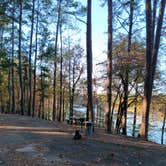 Review photo of COE Lake Greeson Self Creek Jim Wylie Recreation Area and Campground by Alice S., October 21, 2024