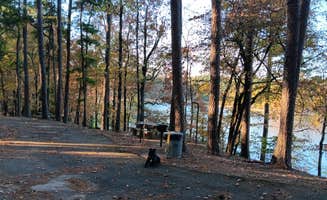Alice S.'s photo of camping with pets at COE Lake Greeson Self Creek Jim Wylie Recreation Area and Campground near Gillham, AR