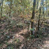 Review photo of COE Lake Greeson Self Creek Jim Wylie Recreation Area and Campground by Twyana S., October 20, 2024