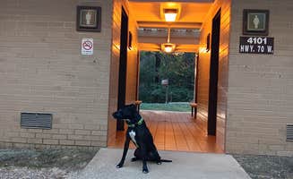Alice S.'s photo of camping with pets at COE Lake Greeson Self Creek Jim Wylie Recreation Area and Campground near Murfreesboro, AR
