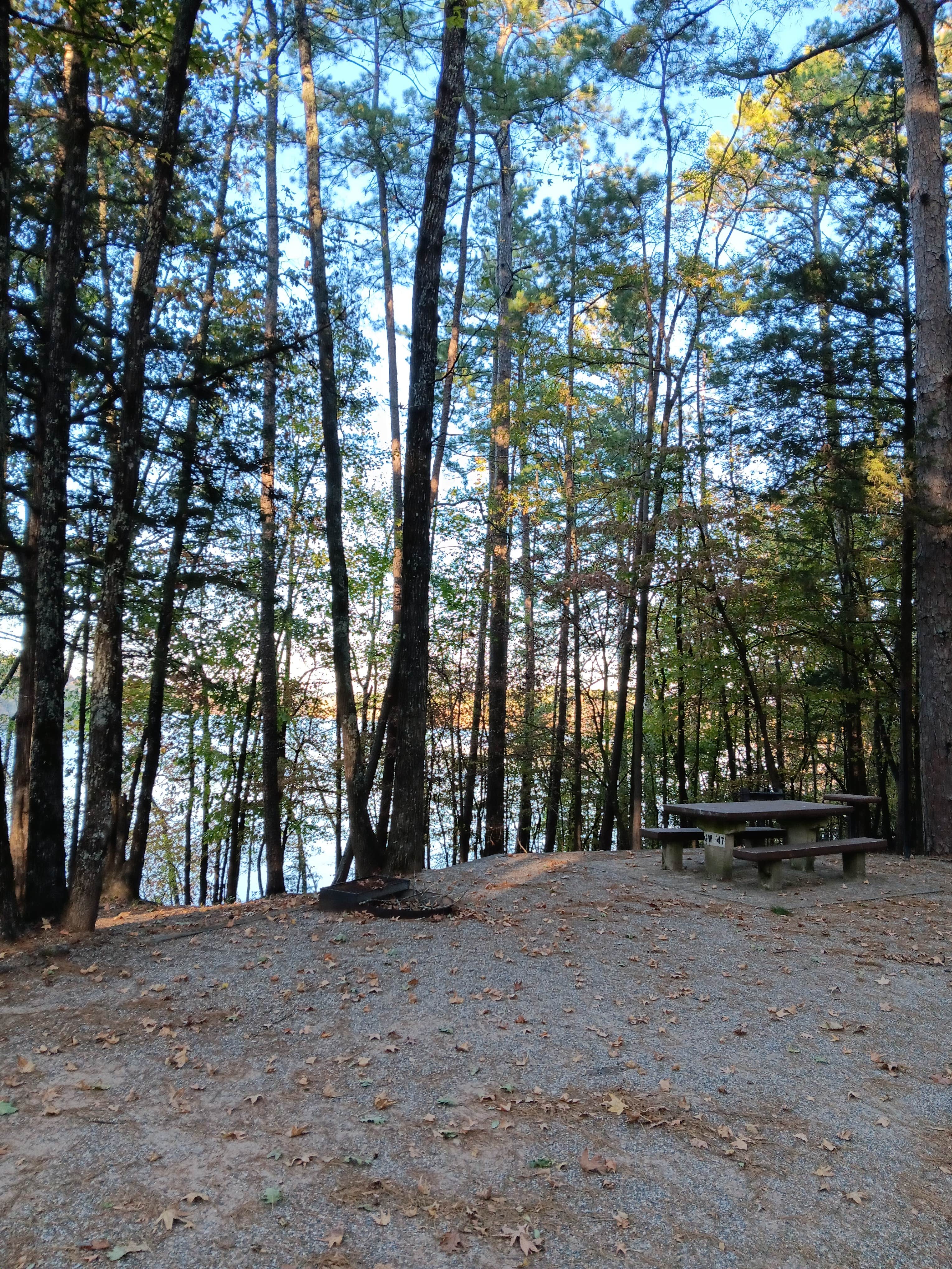Camper-submitted photo at COE Lake Greeson Self Creek Jim Wylie Recreation Area and Campground near Kirby, AR