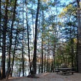 Review photo of COE Lake Greeson Self Creek Jim Wylie Recreation Area and Campground by Alice S., October 21, 2024