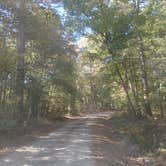 Review photo of COE Lake Greeson Self Creek Jim Wylie Recreation Area and Campground by Twyana S., October 20, 2024